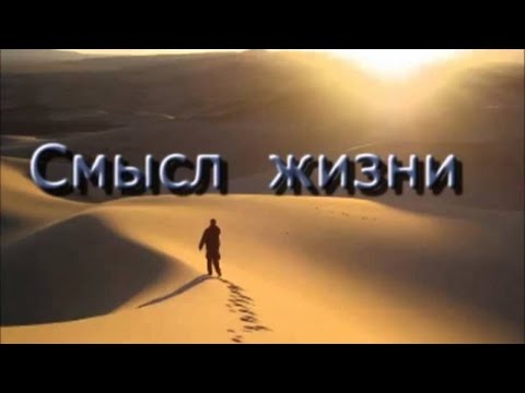 В  Колесе  Жизни 