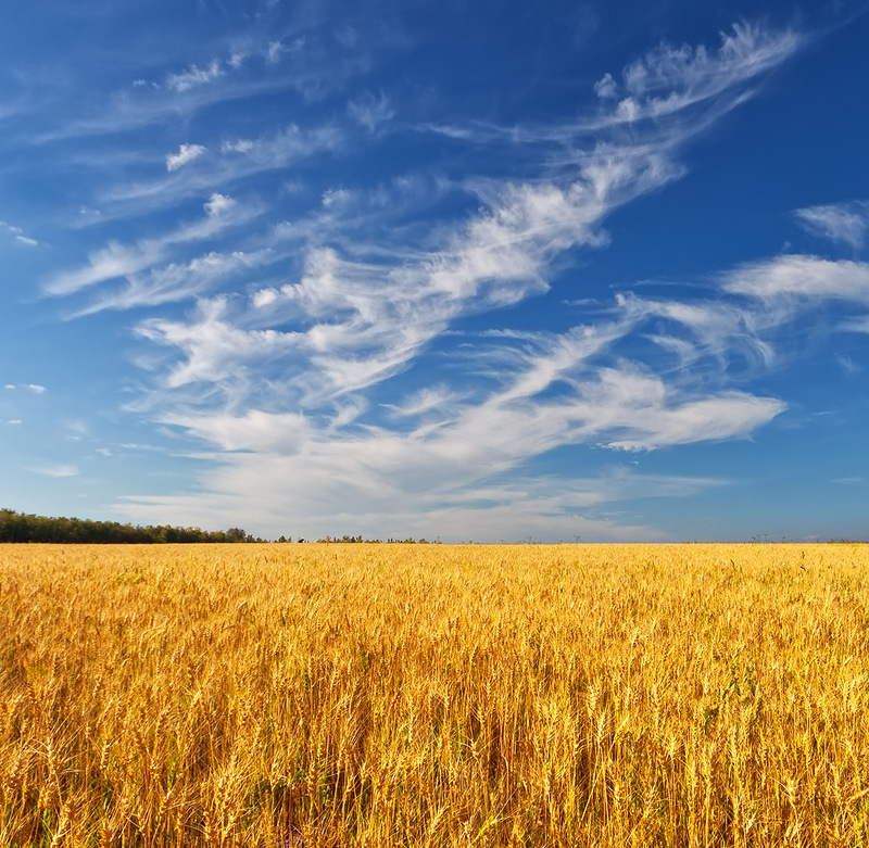 Про Знойное Лето 