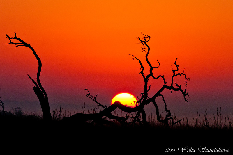 Вечер Сицилиана