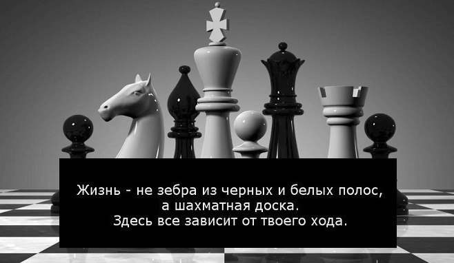 Сыграй партию