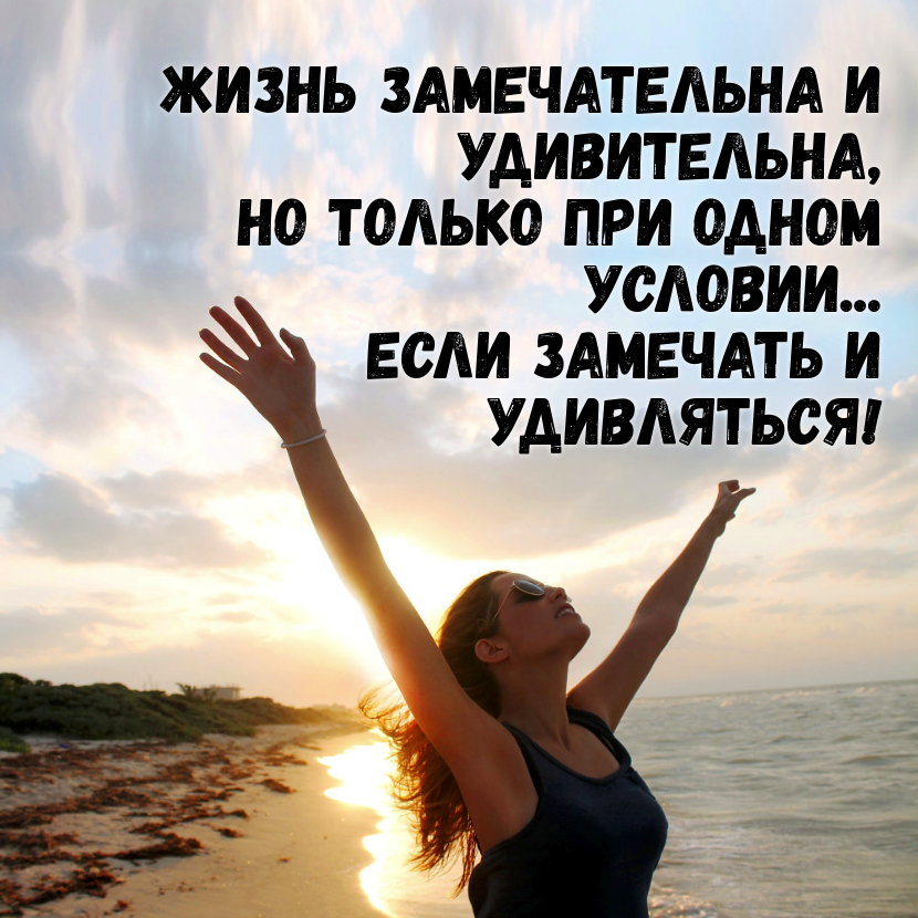 Вот такая она наша жизнь