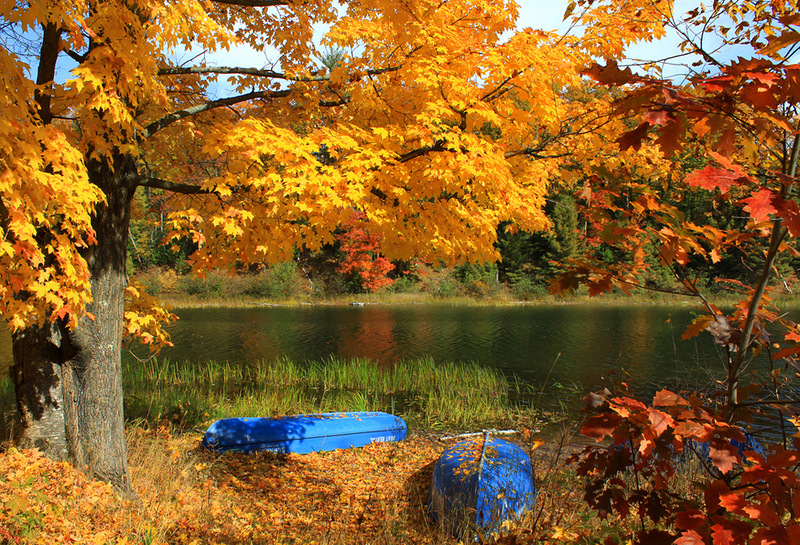 Её светлость и сиятельство об осени
