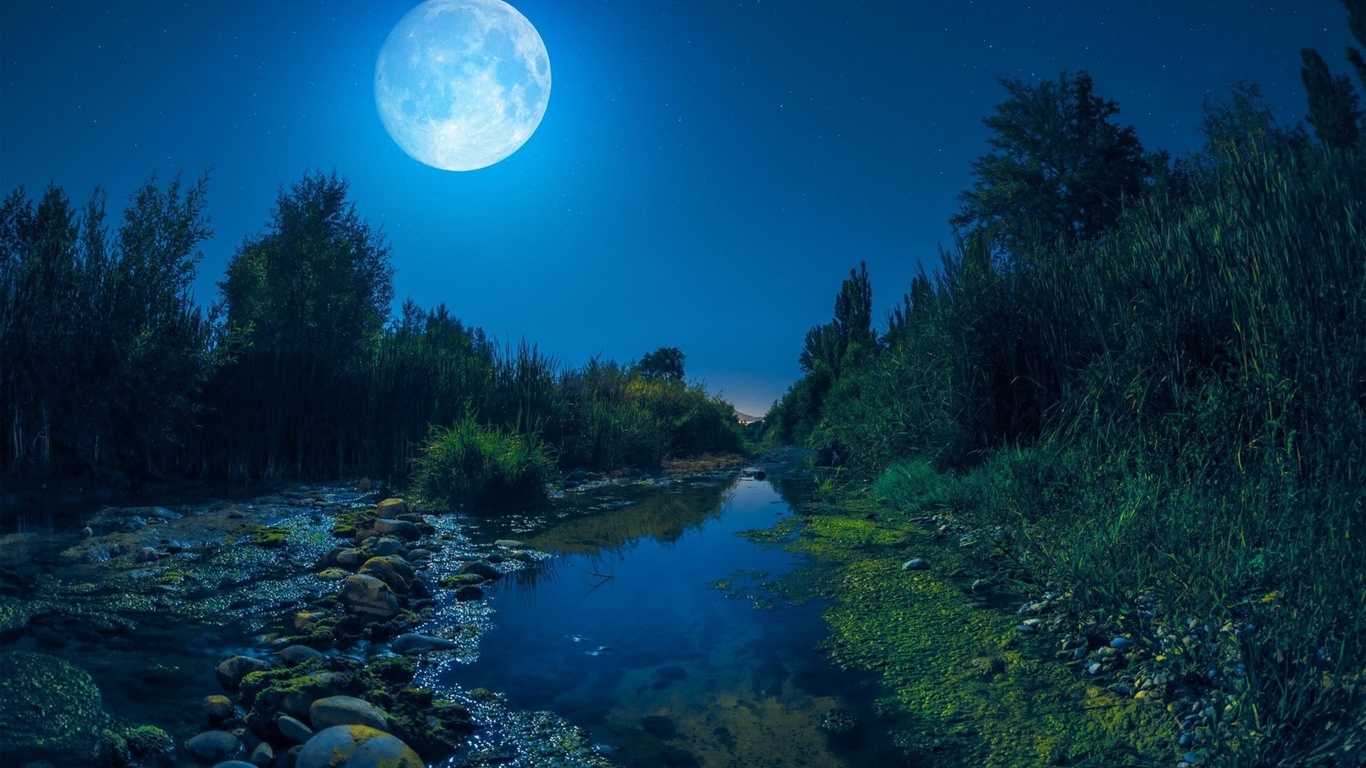 Полнолуние