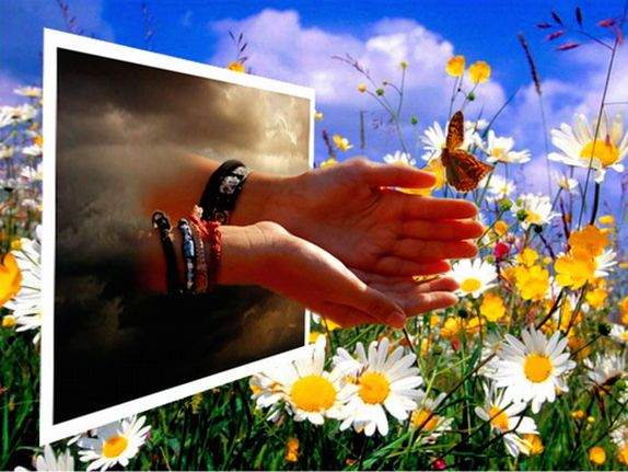 Счастье в жизни....