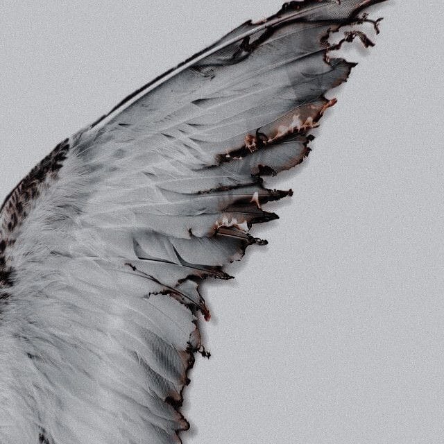 Спроси у пепла