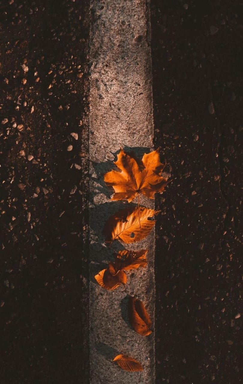 Лечусь как всегда - дорогами