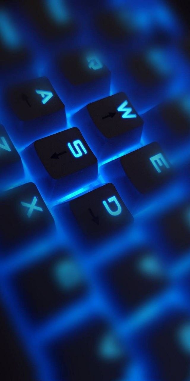 Зима в палитре черно-белых клавиш...