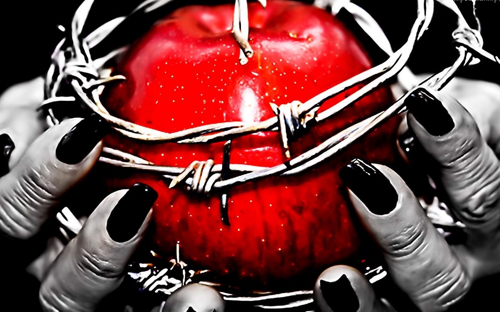 Запретный плод