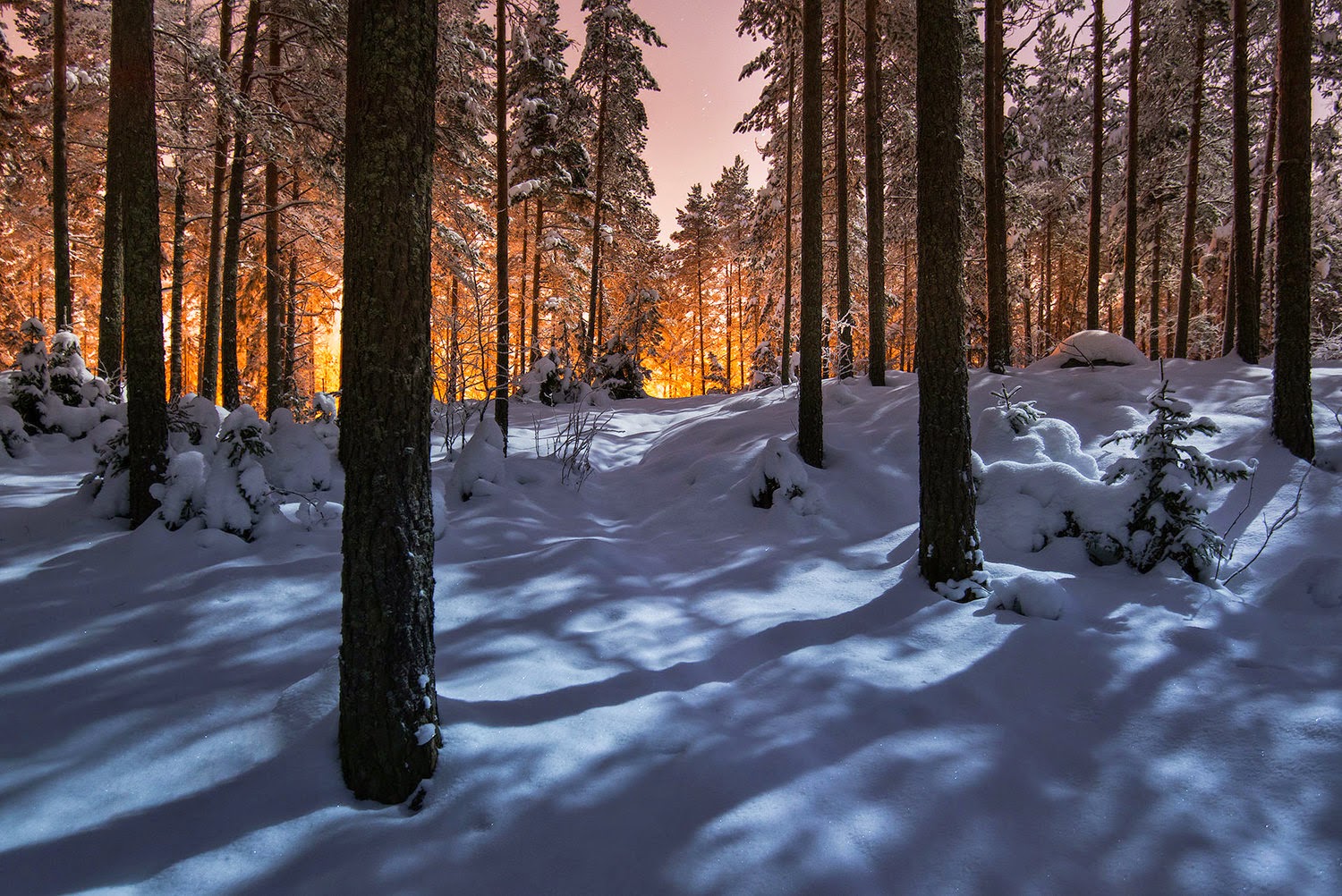 Не глядя назад