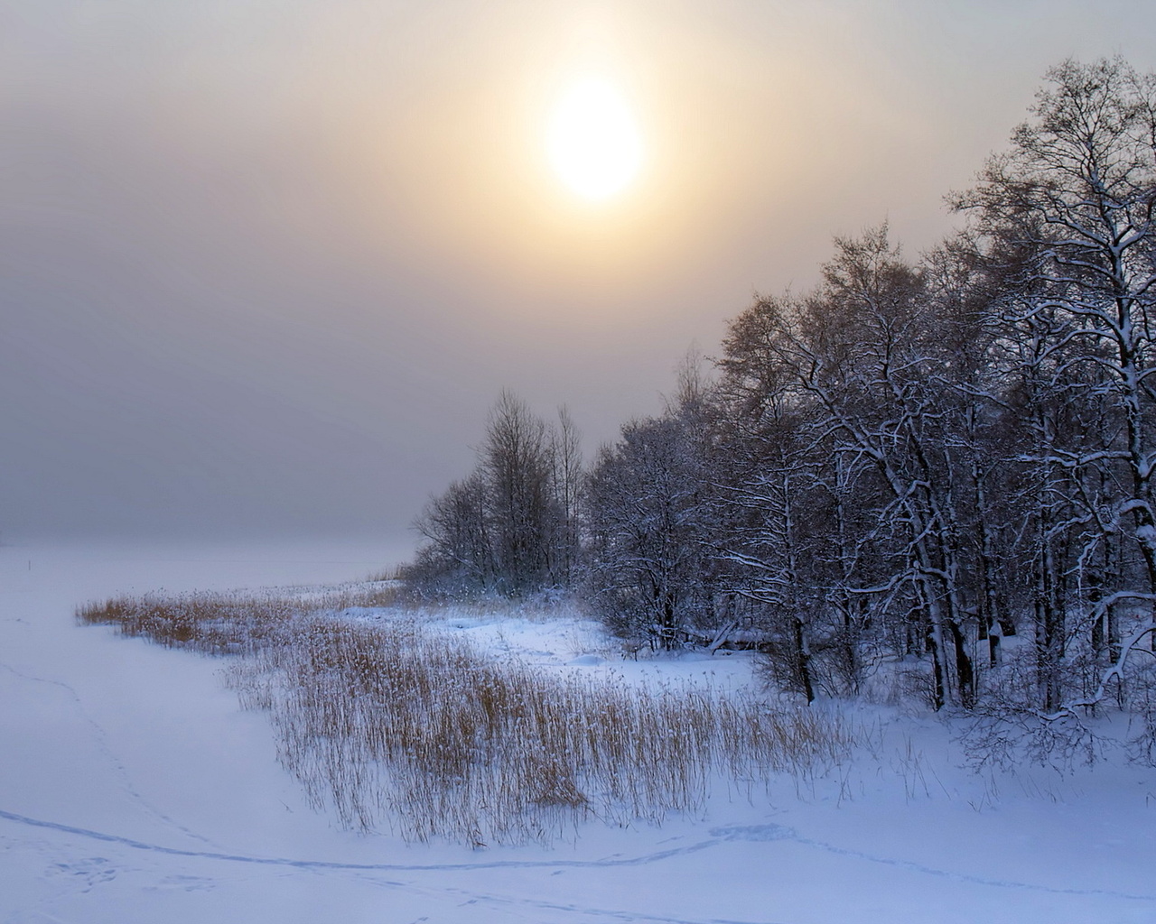 Памяти картины