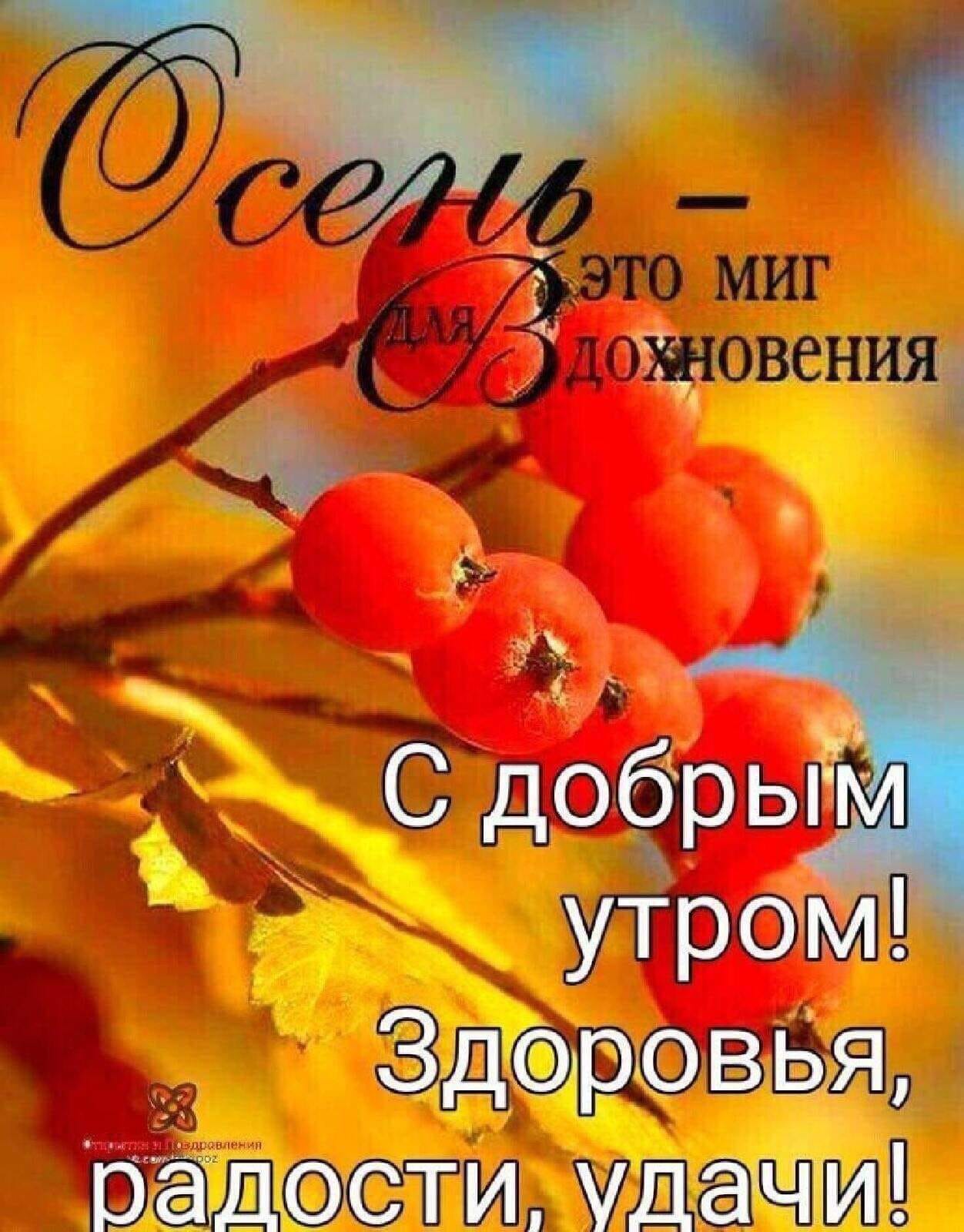В лицо мне светит яркий свет