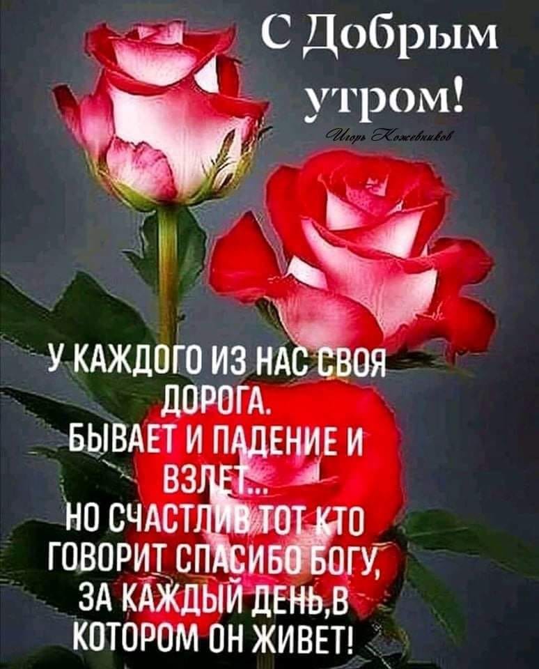 Дороги разные по жизни