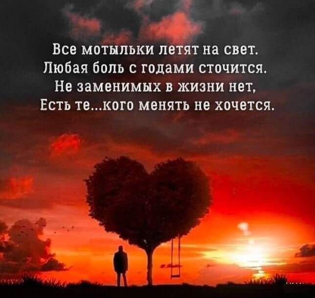 Летят на свет все в темноте