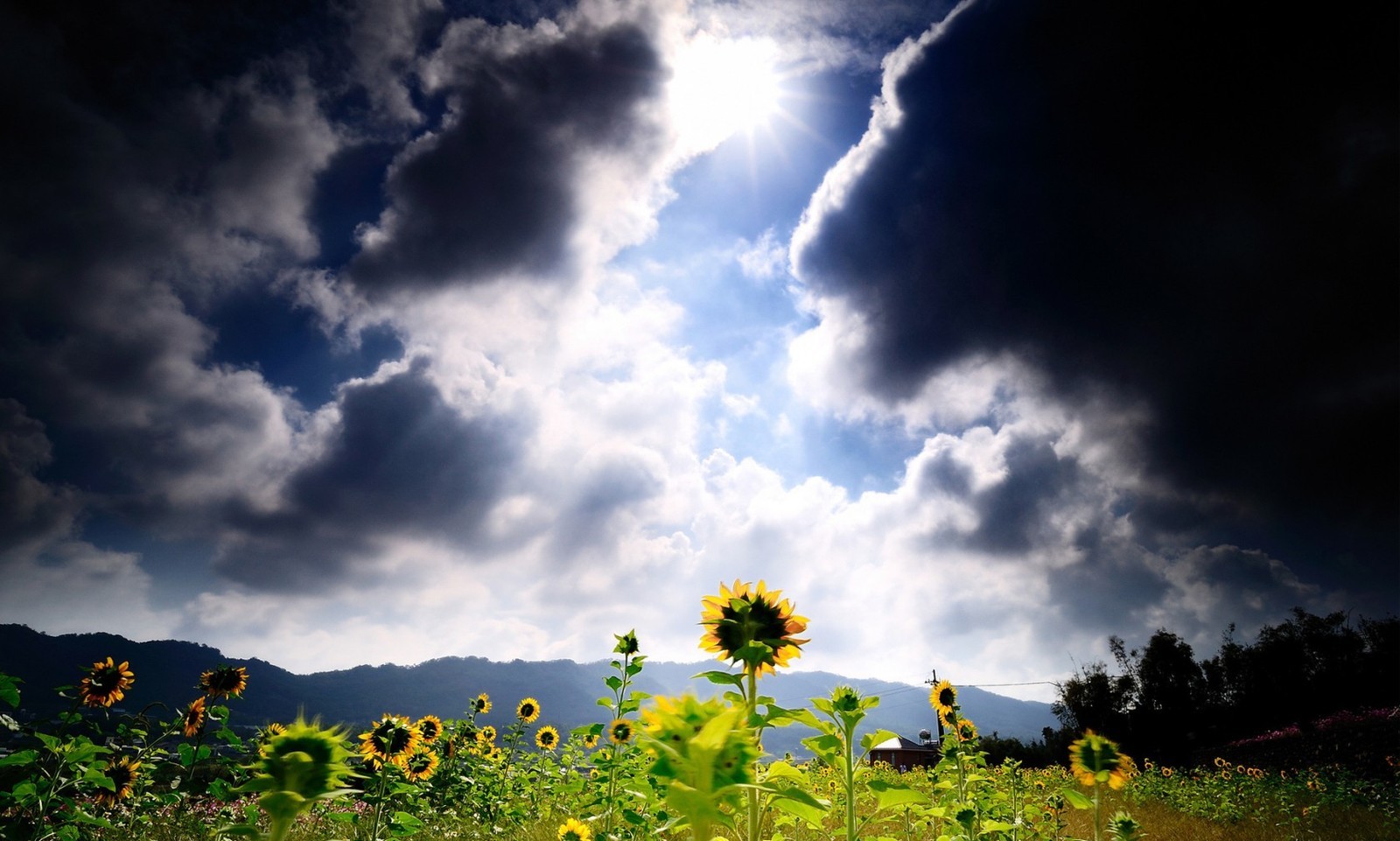 Солнце за тучей