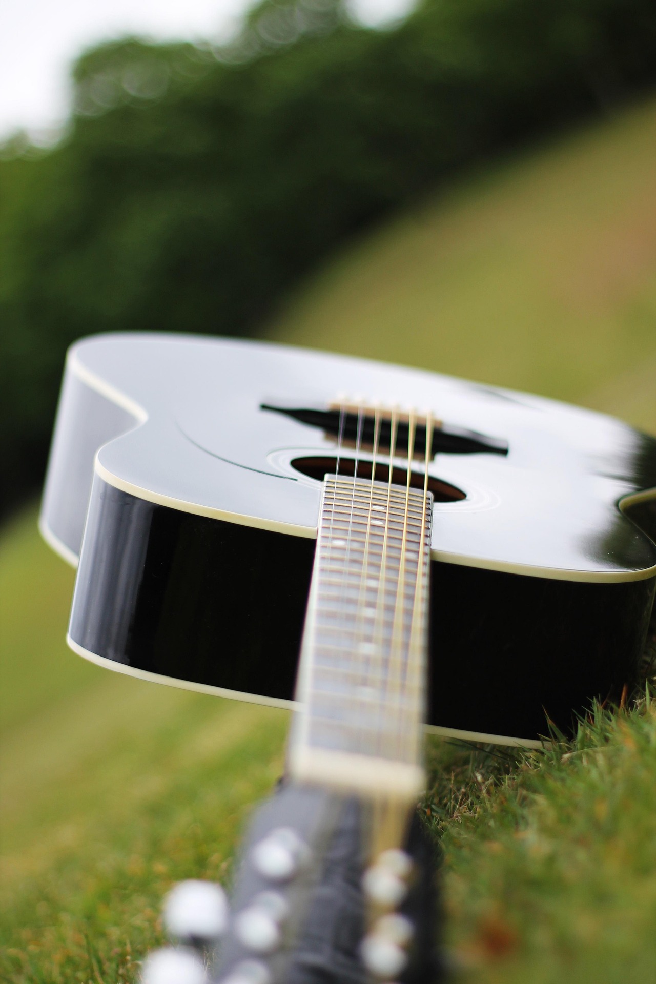 Гитара семиструнная