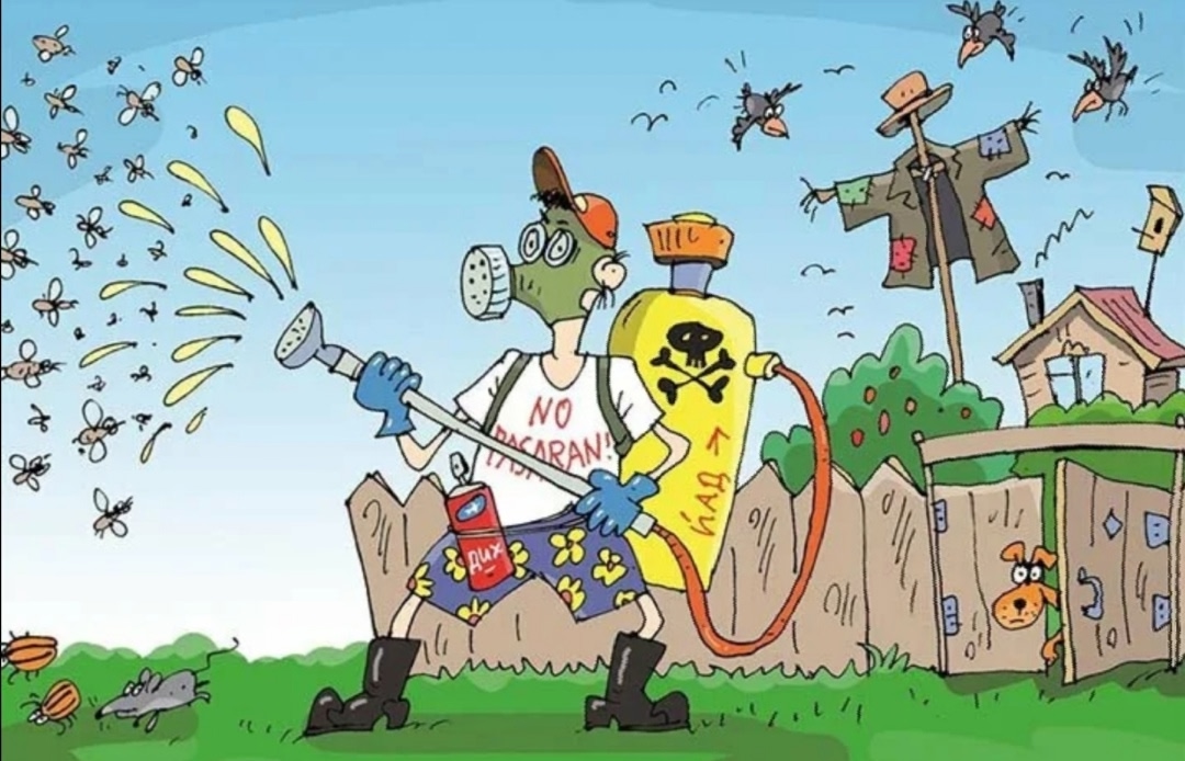 Овощные войны