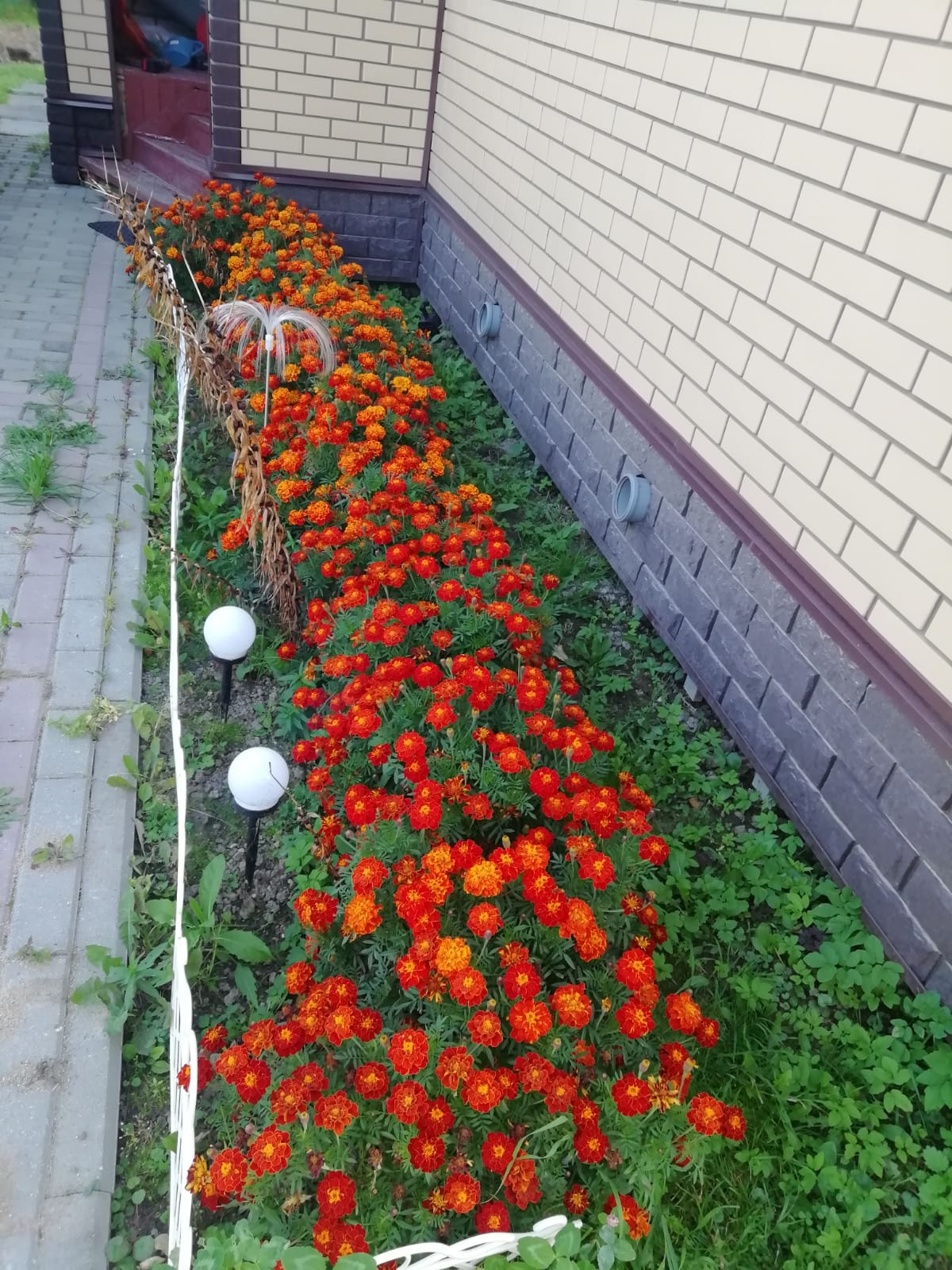 Осенние осколки