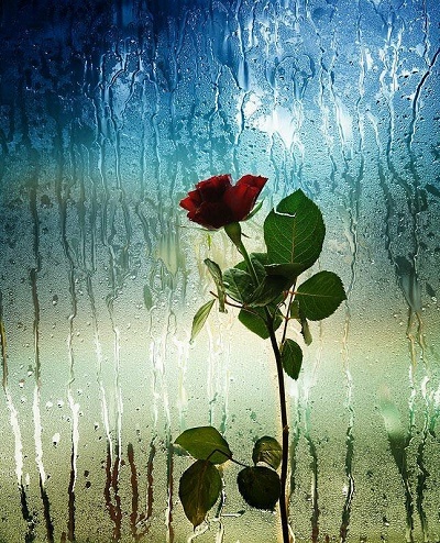 Усечённое счастье