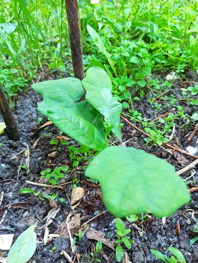 Взирая в прошлое и будущее