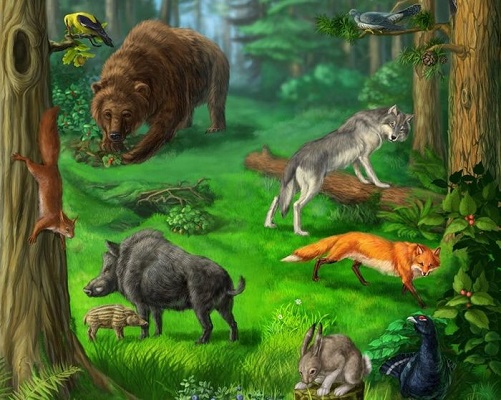 Земная обитель