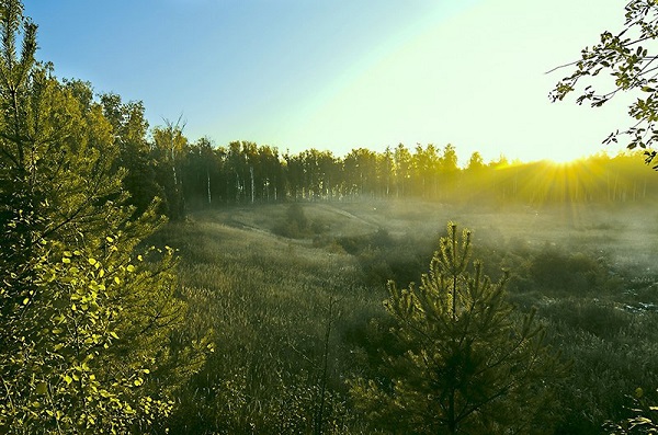 На исходе лета