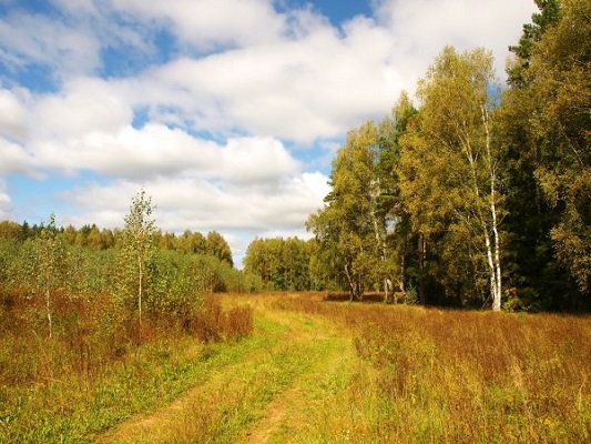 В преддверии осени