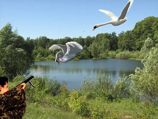 Вечная любовь