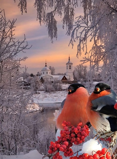 Зимнее очарование