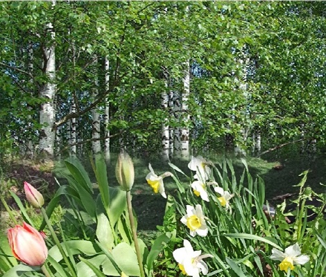 Непревзойдённая пора