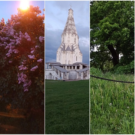 Сакральность подлунного мира