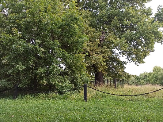 Сакральная ноша