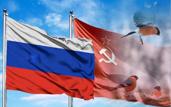 Снегири Победы