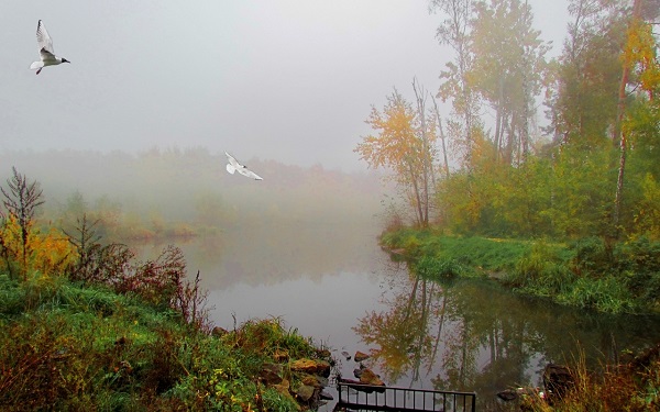 Видения для русской души