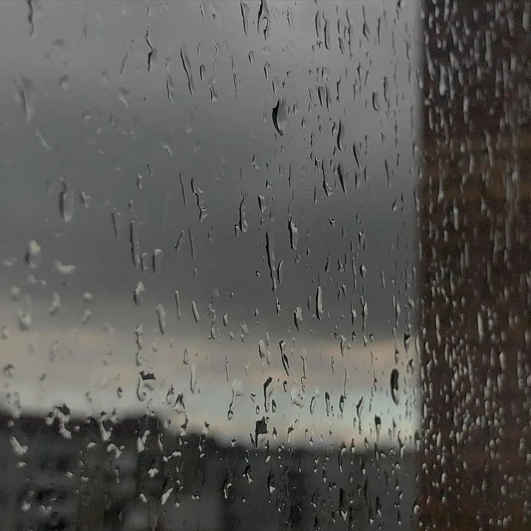 Влага сочится сквозь низкие тучи