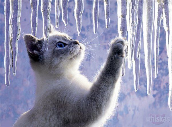 И снова март