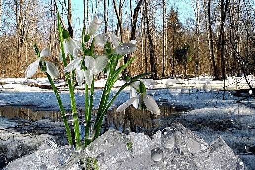 Мартовский снег