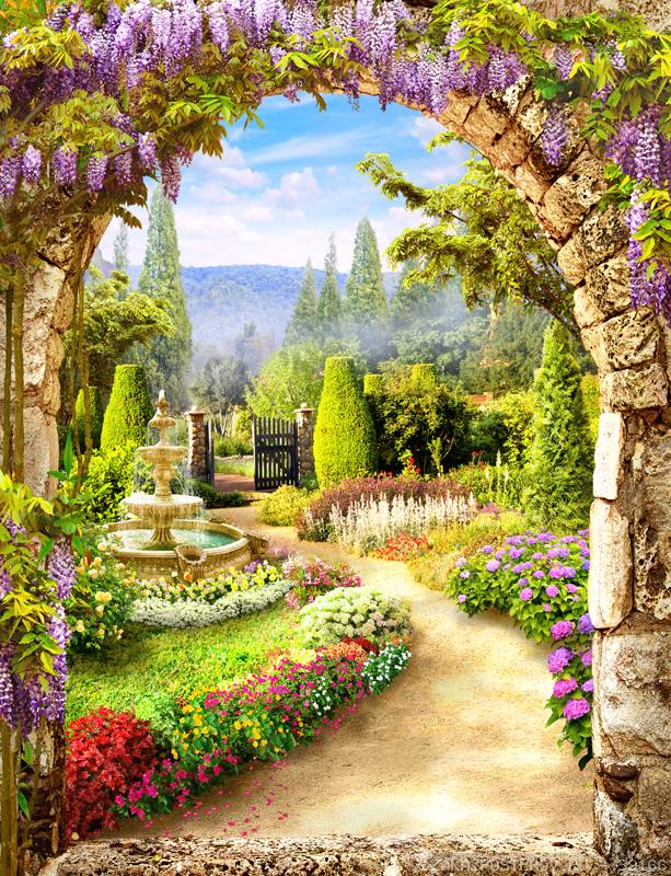 Мой Волшебный Сад