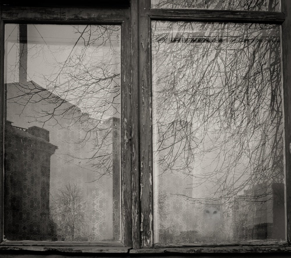 Стеклянность оконных взглядов