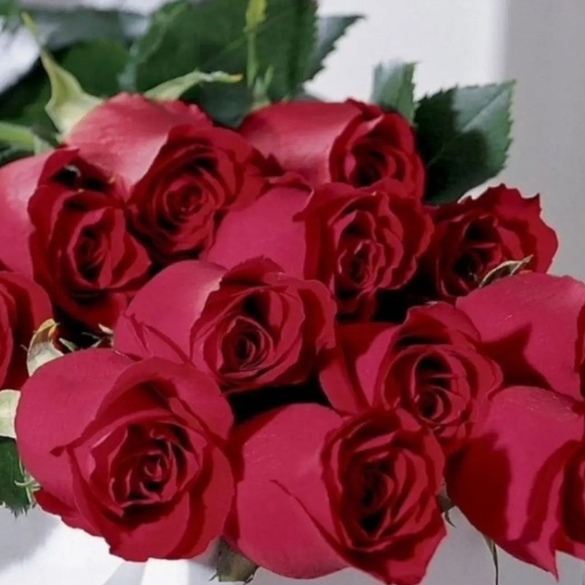 Розы от майора