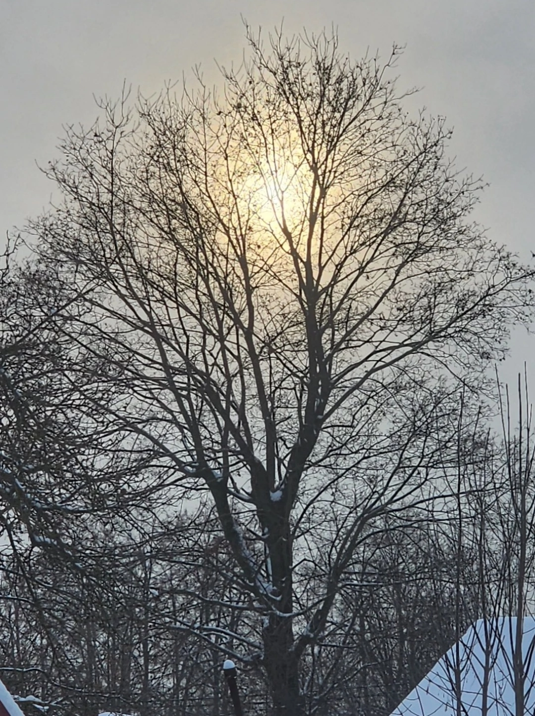 Солнце и тучи