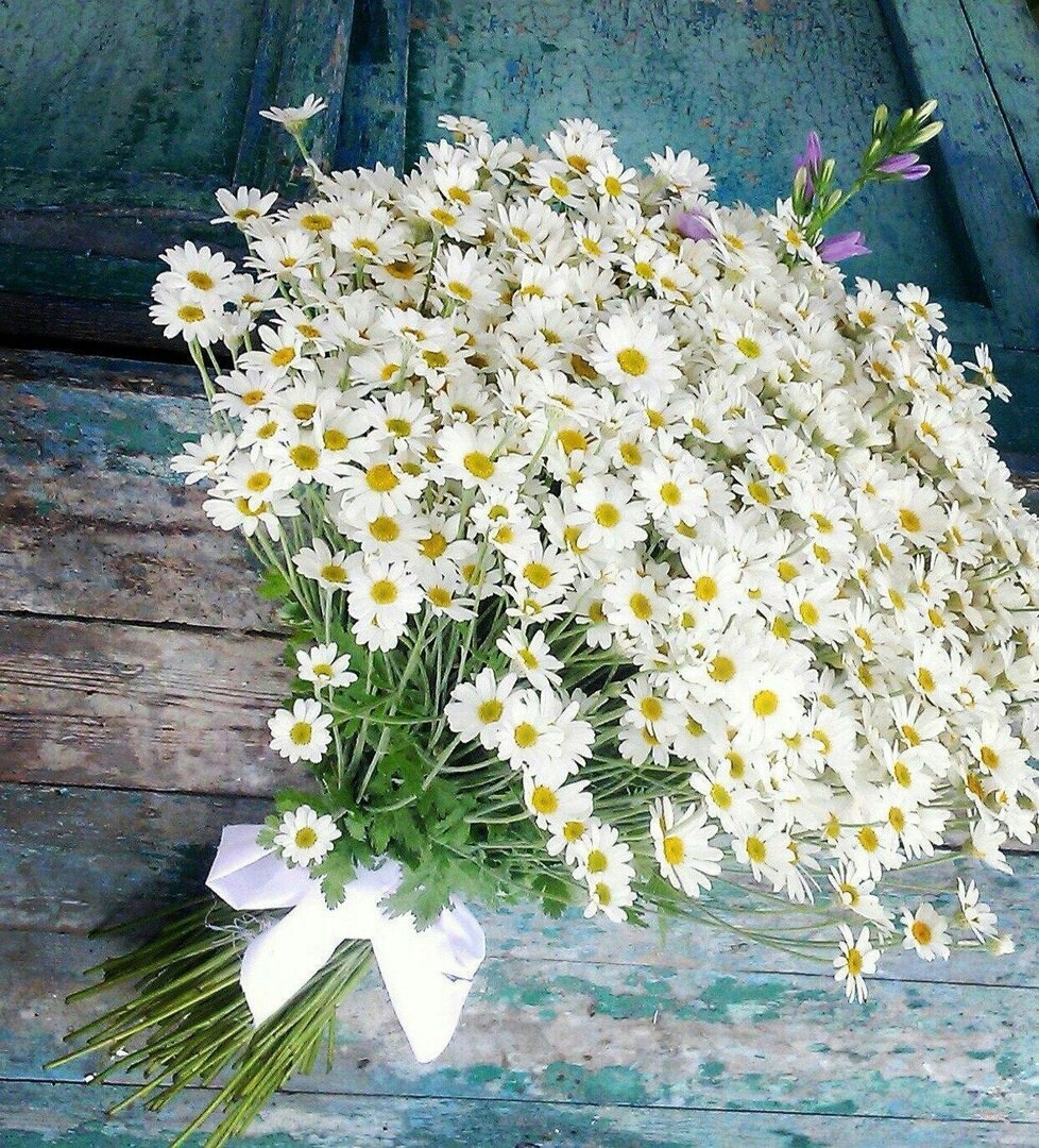 Хокку "подарок"