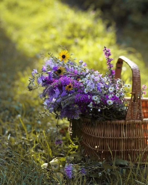 Хокку "аромат лета"