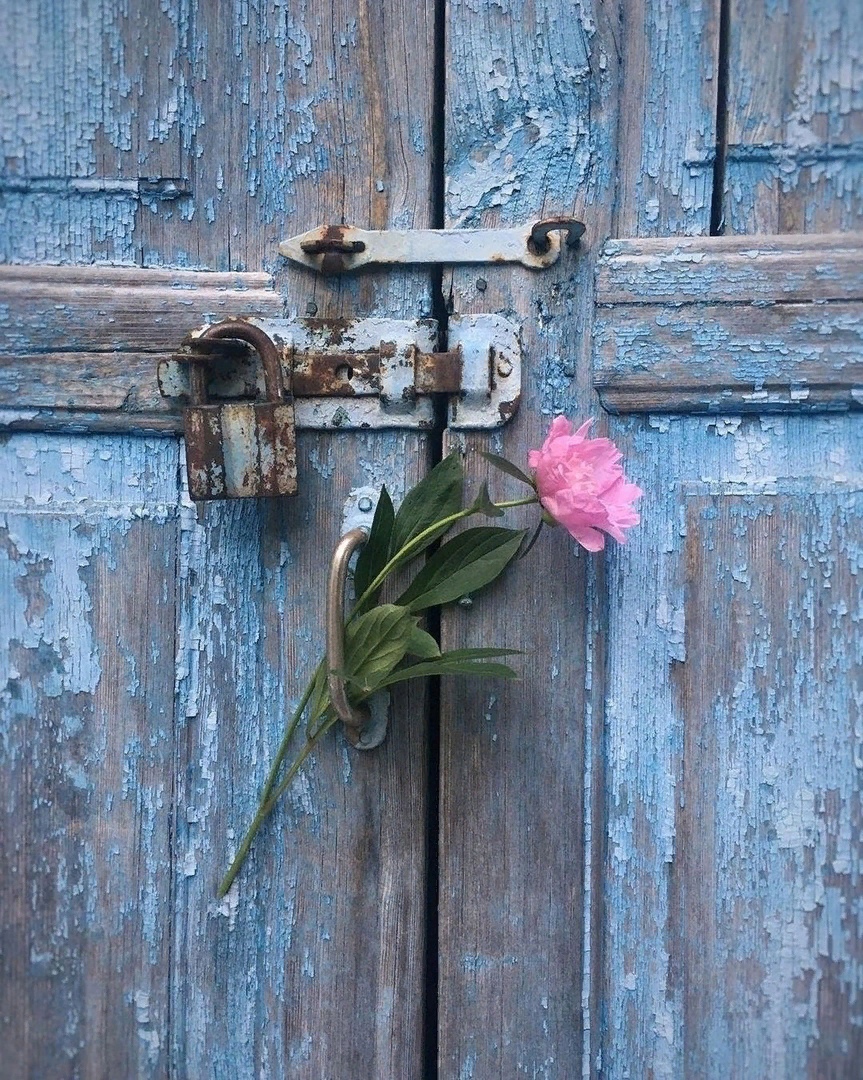 Хокку "Загадки"