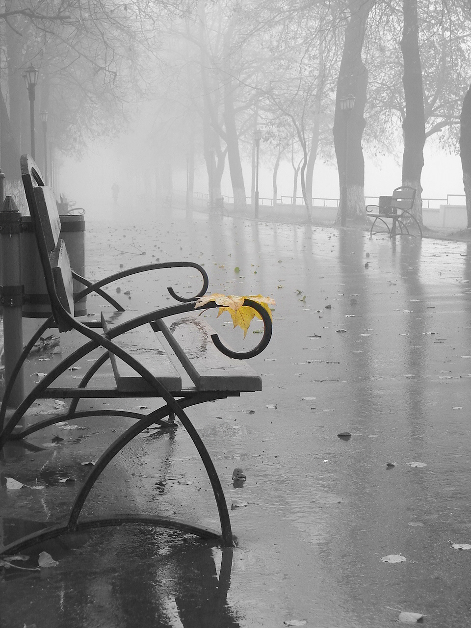 Осенний дождь