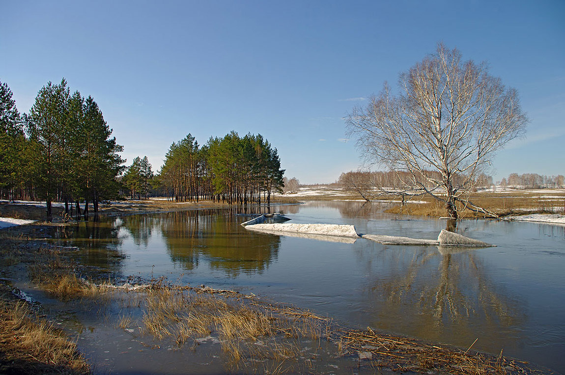Весенняя песня