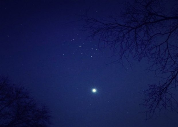 Предвечный свет звезды.....