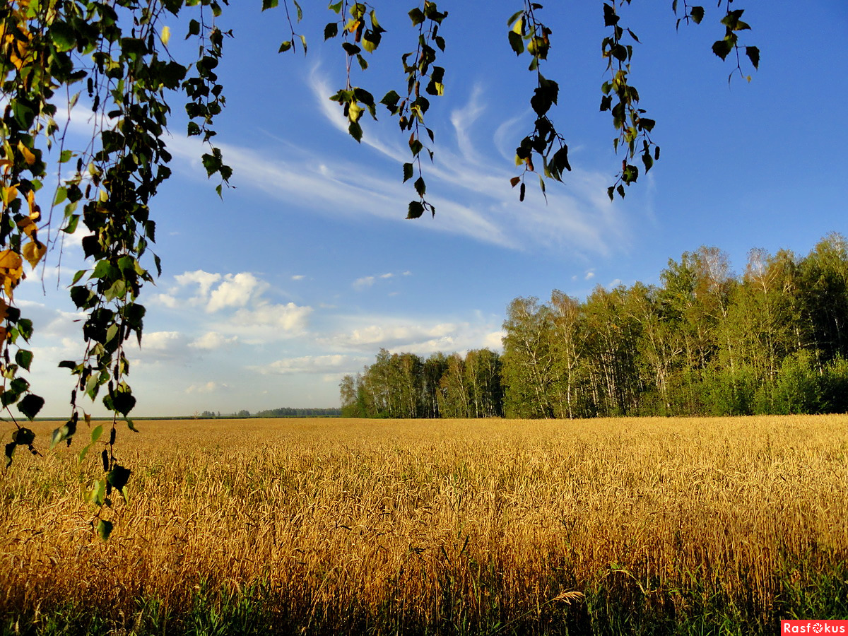 Лето уходит 