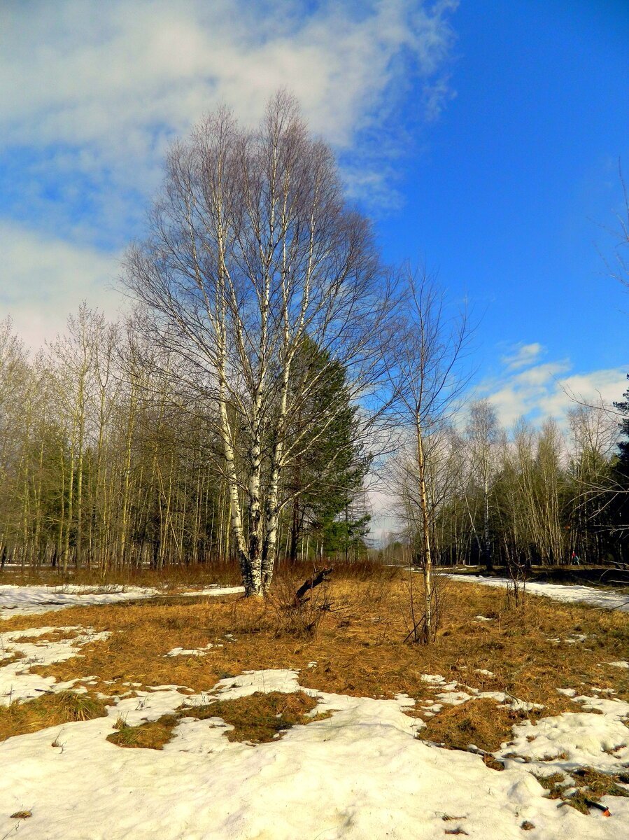 Дело к лету