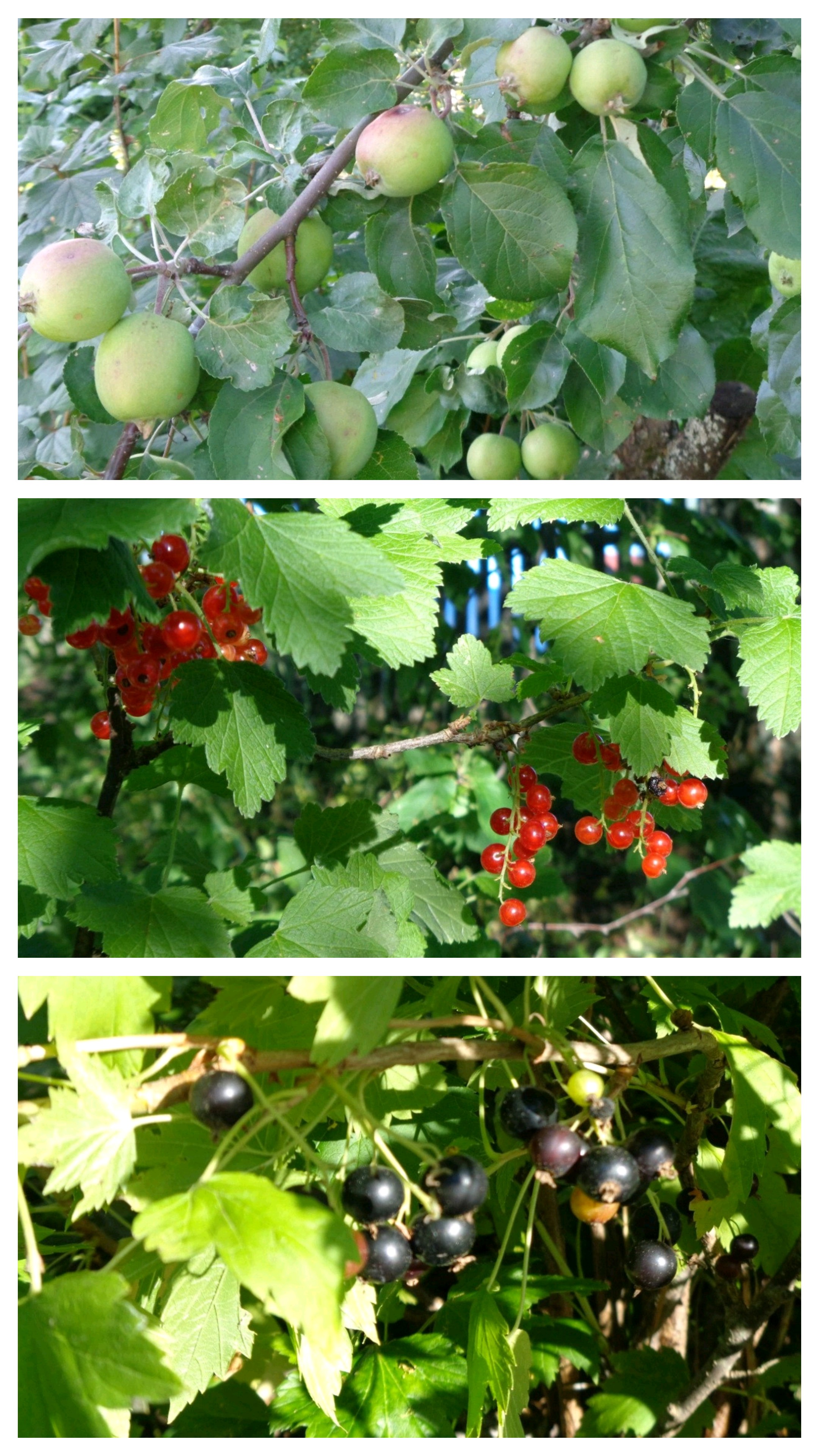 Жаркий август