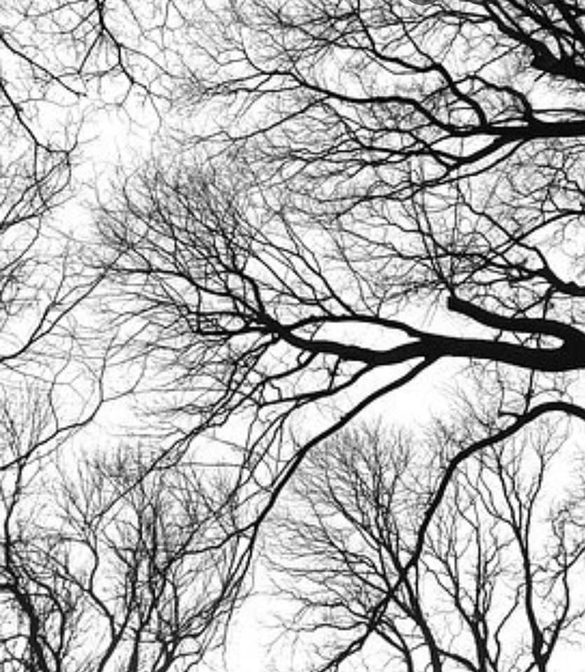 Тревожностью сырой наполнен воздух